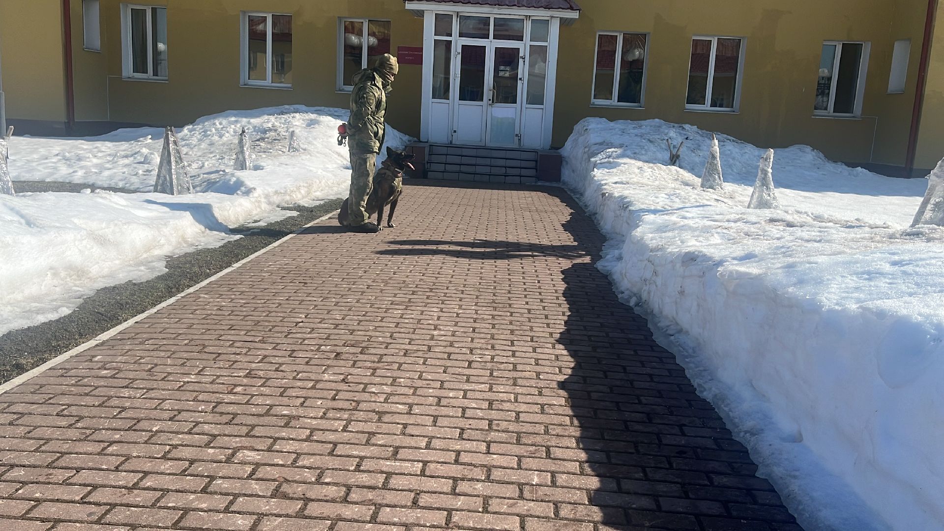 служебная собака, награда,