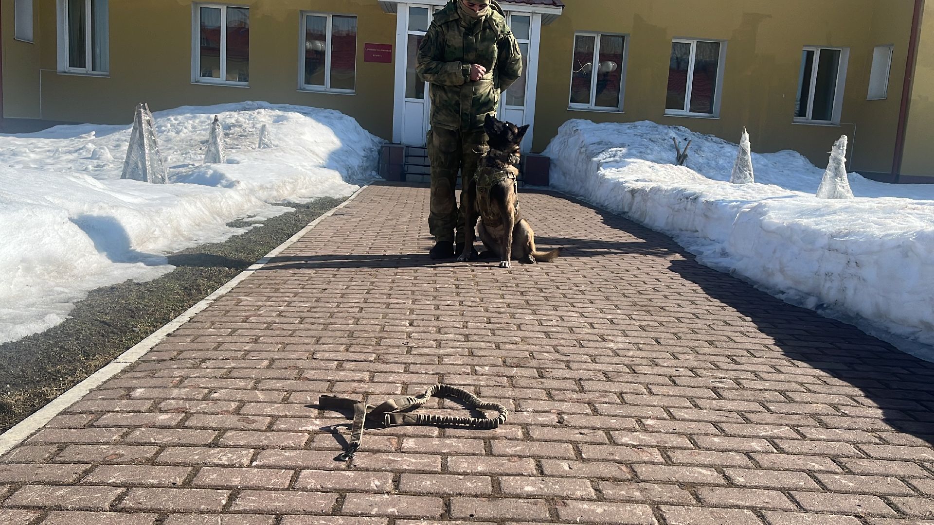 служебная собака, награда,