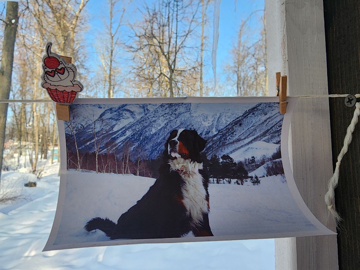 серпухов, подмосковье, парк имени олега степанова, кафе в парке, еда,