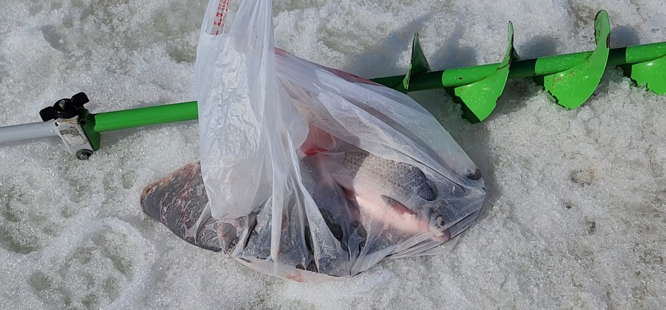 кашира, спасатели, водно-спасательная станция, паводок, река ока, ледоход,