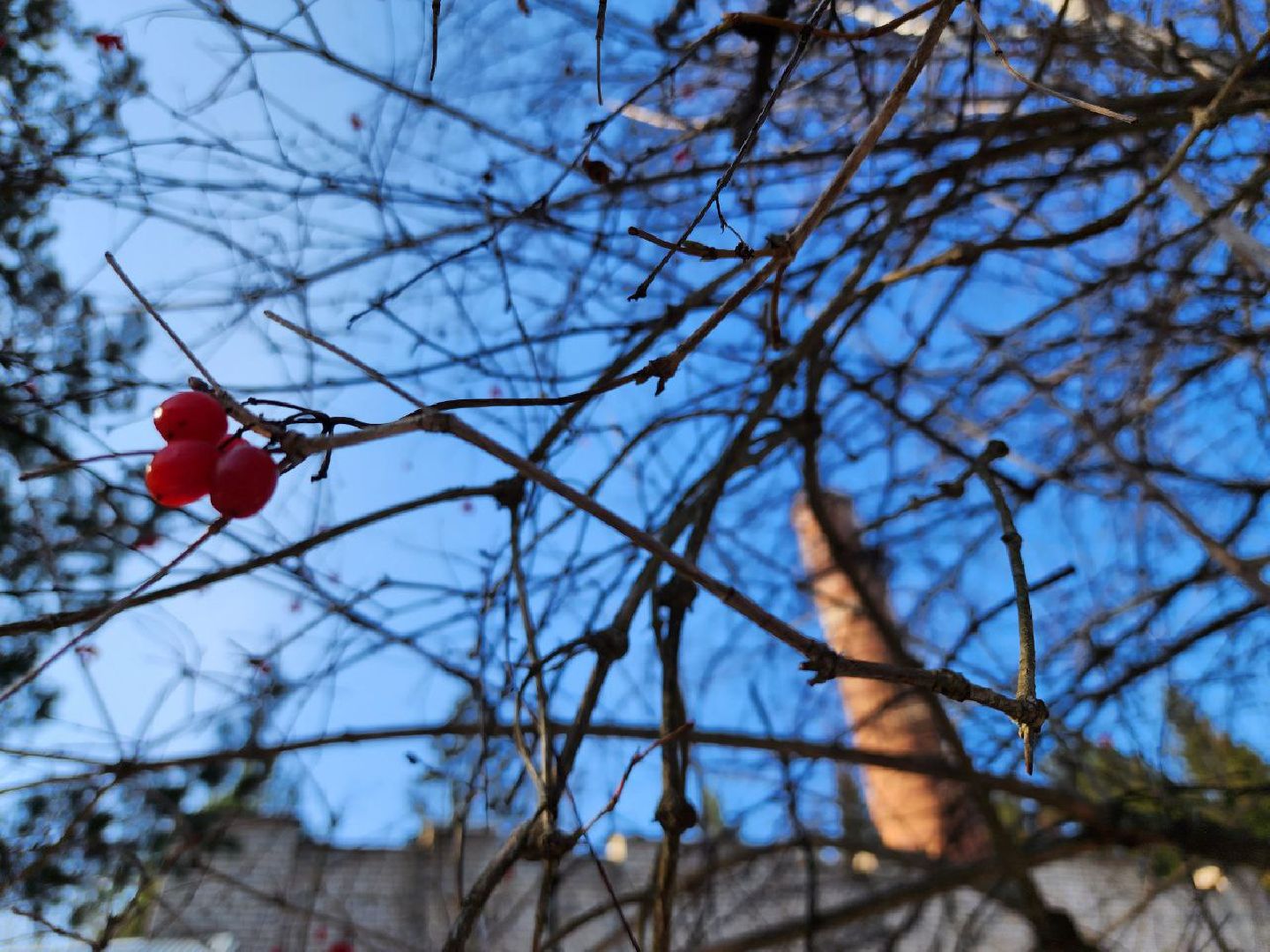 можайский городской округ, подмосковье, котельная, капитальный ремонт котельной, фплк, работы, жители, отопление, горячая вода, жкх,