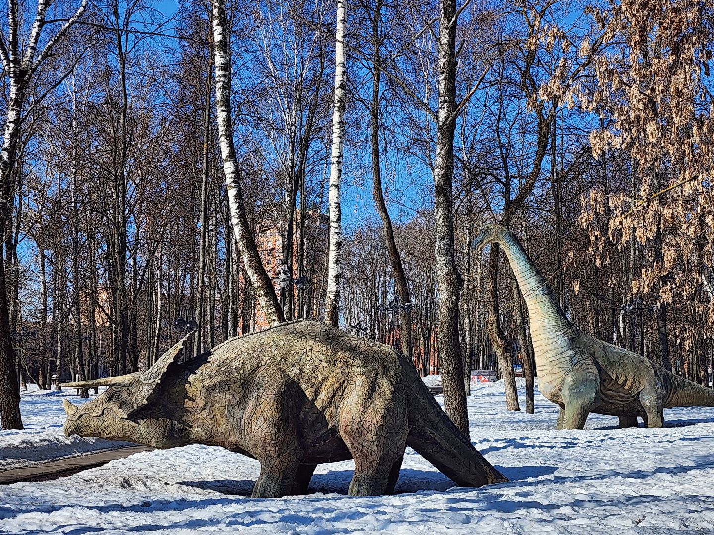серпухов, подмосковье, комсомольский парк, скейт-парк,