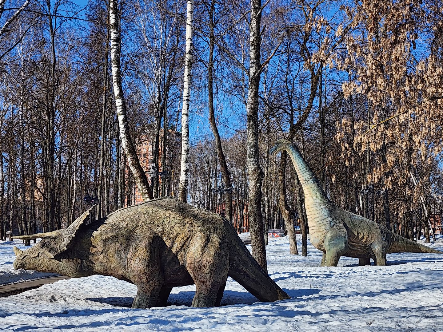 серпухов, подмосковье, комсомольский парк, скейт-парк,