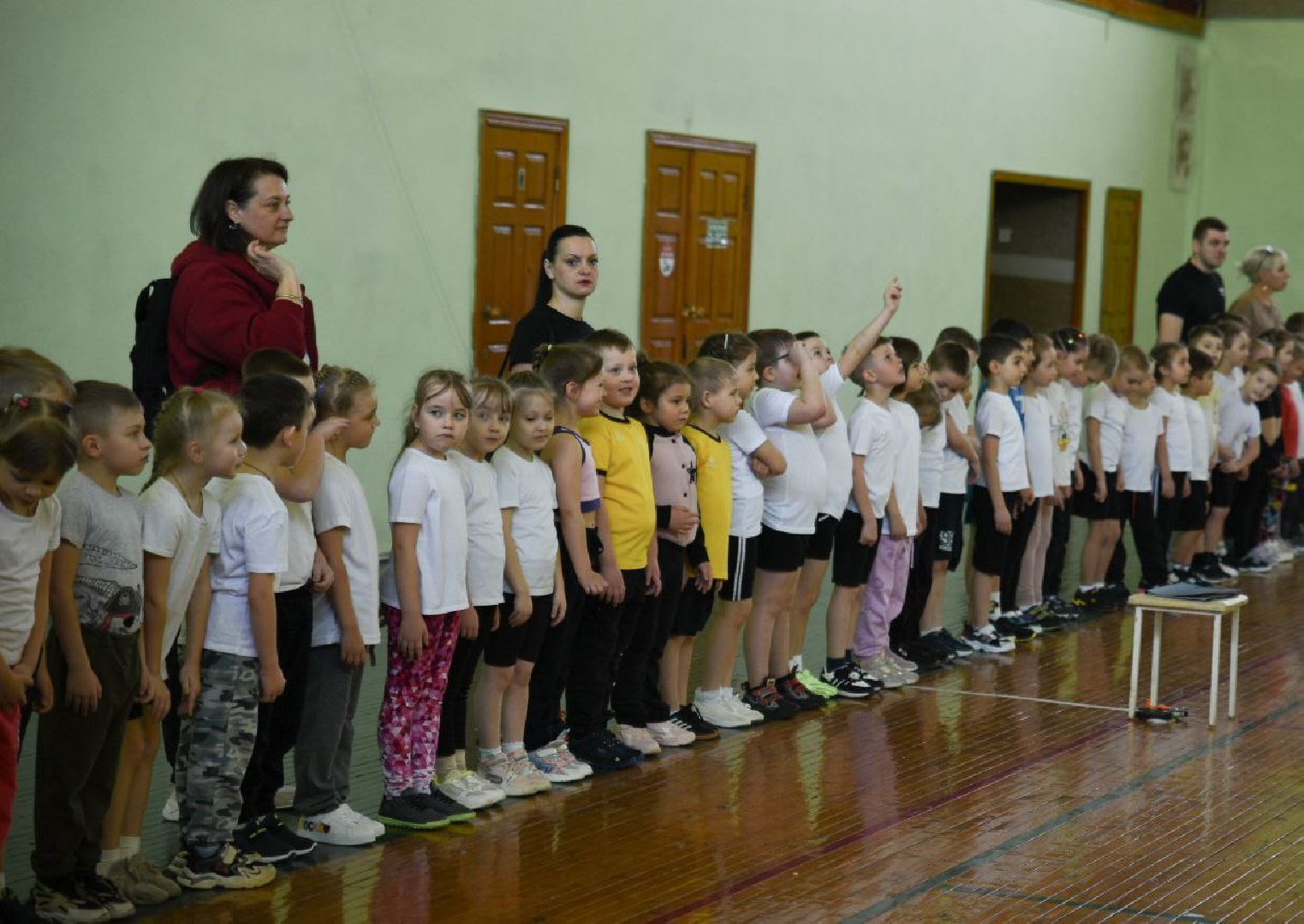 Бронницы, ГТО, Сдача норм ГТО, Спорт,