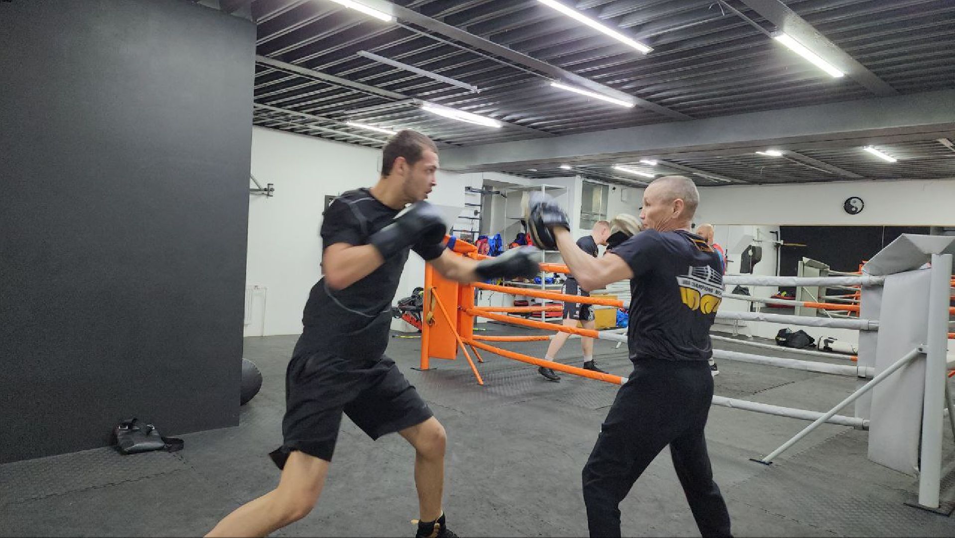 мытищи, спорт, бокс, сергей акопян, Анатолий Александров, Данил Олейник, Александр Ягупов,