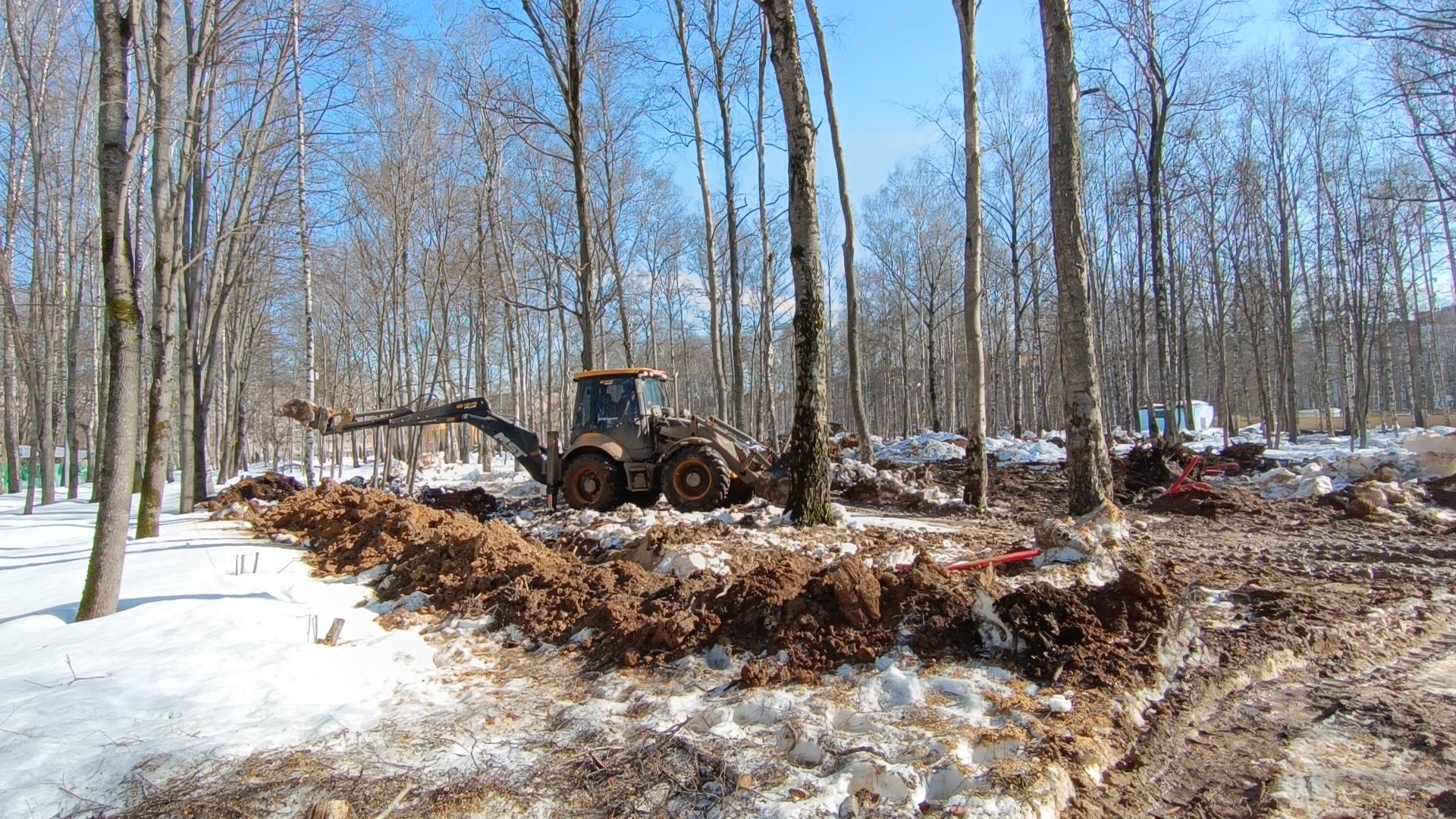 парк, реконструкция, лобня,