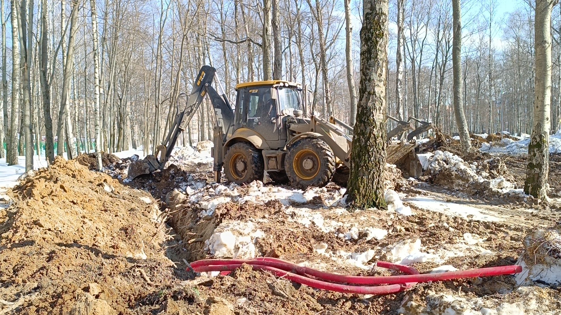 парк, реконструкция, лобня,