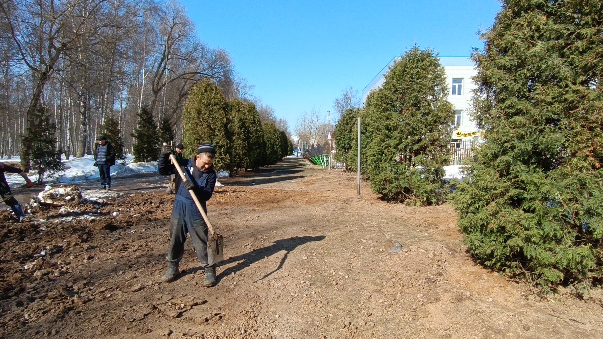 парк, реконструкция, лобня,