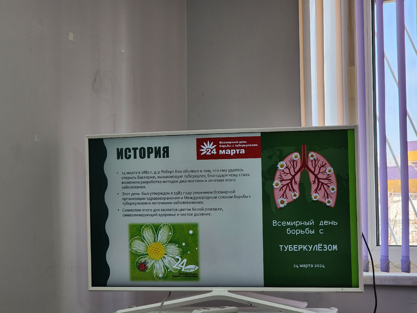 Звенигород, Медицина, активное долголетие,