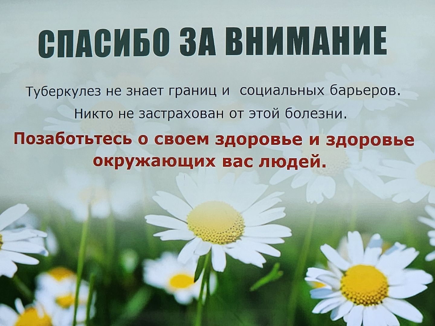 Звенигород, Медицина, активное долголетие,