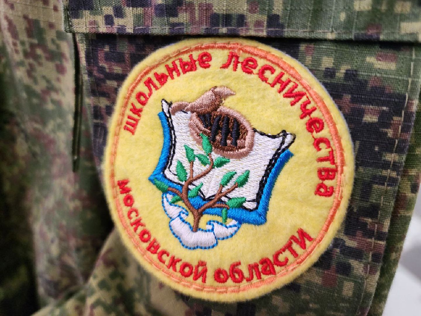 можайск, можайский городской округ, подмосковье, школьные отряды, юные лесничие, международный день леса, образование, открытый урок, природа,
