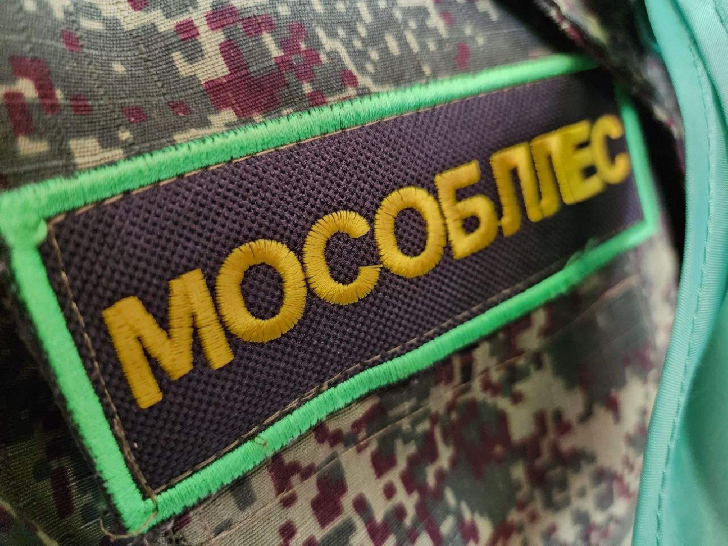 можайск, можайский городской округ, подмосковье, школьные отряды, юные лесничие, международный день леса, образование, открытый урок, природа,