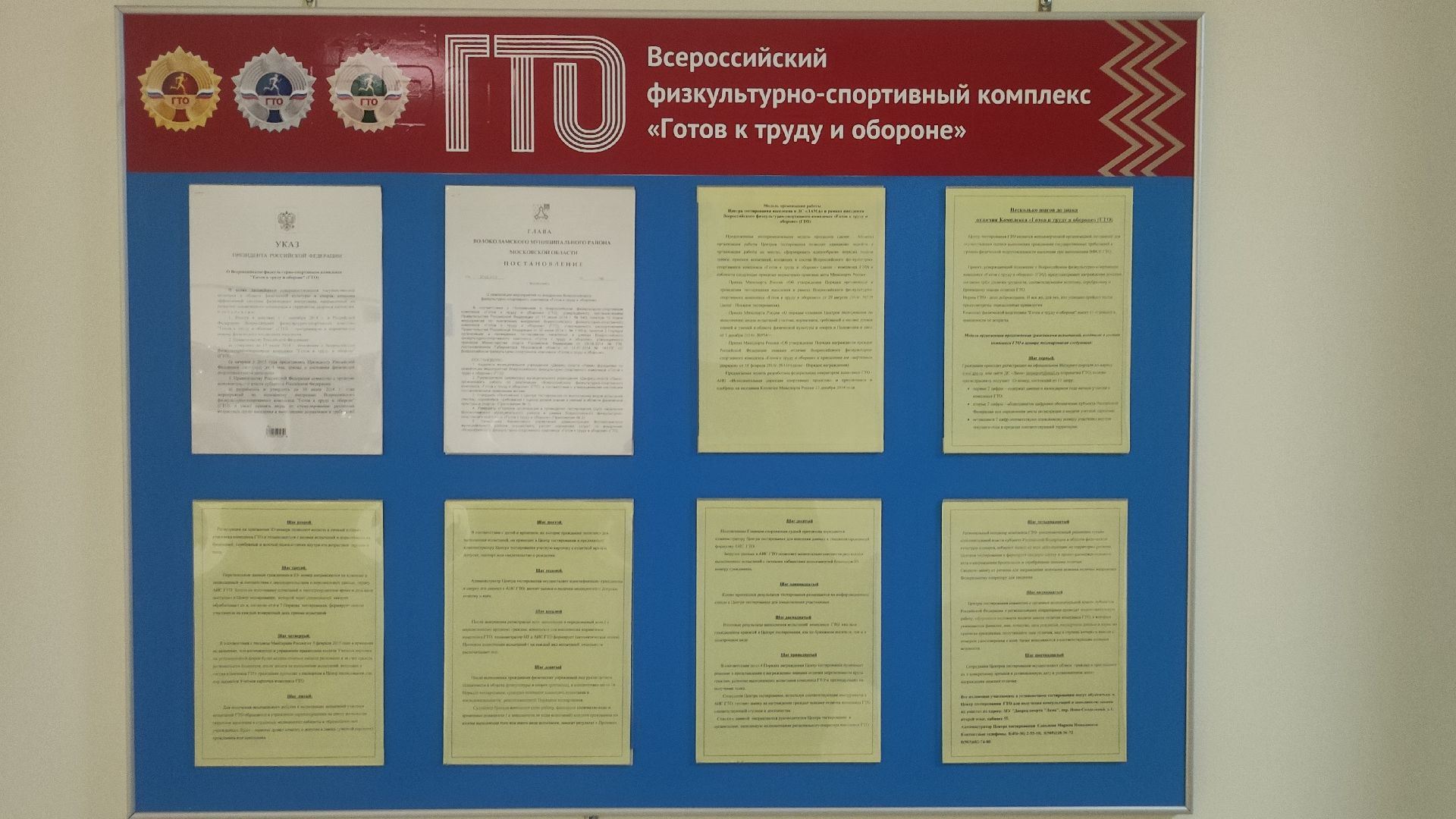 гто, волоколамск, спорт,