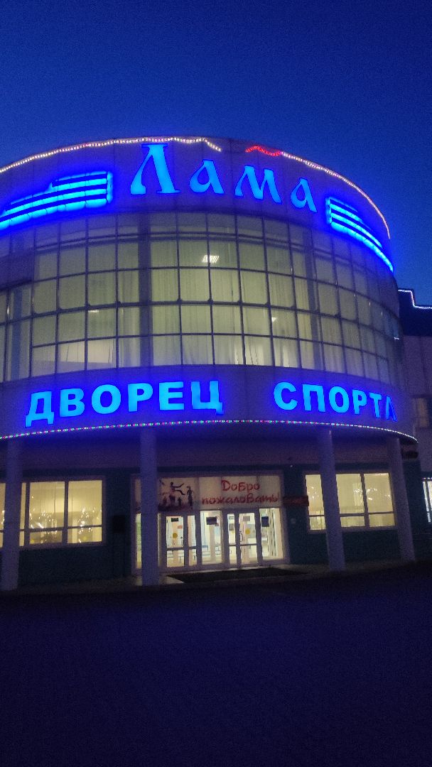 гто, волоколамск, спорт,