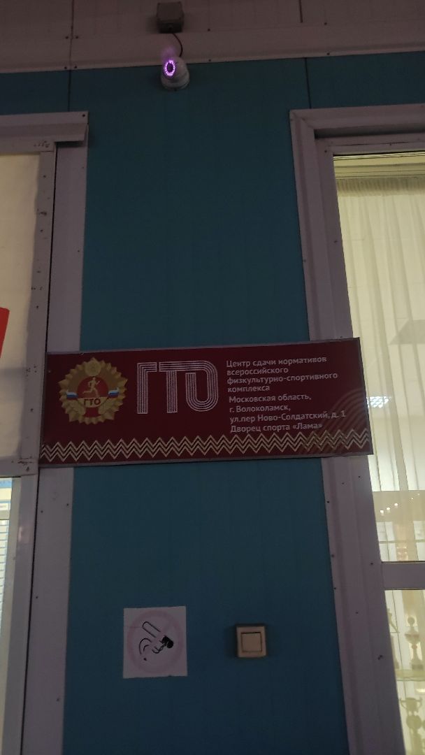 гто, волоколамск, спорт,