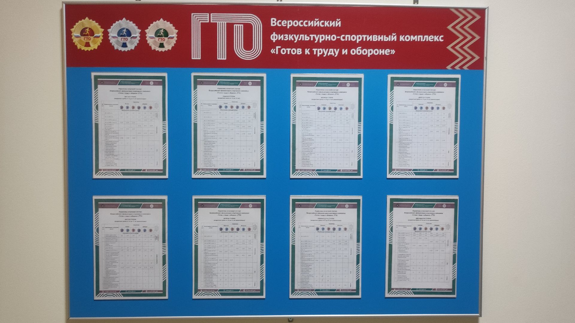 гто, волоколамск, спорт,