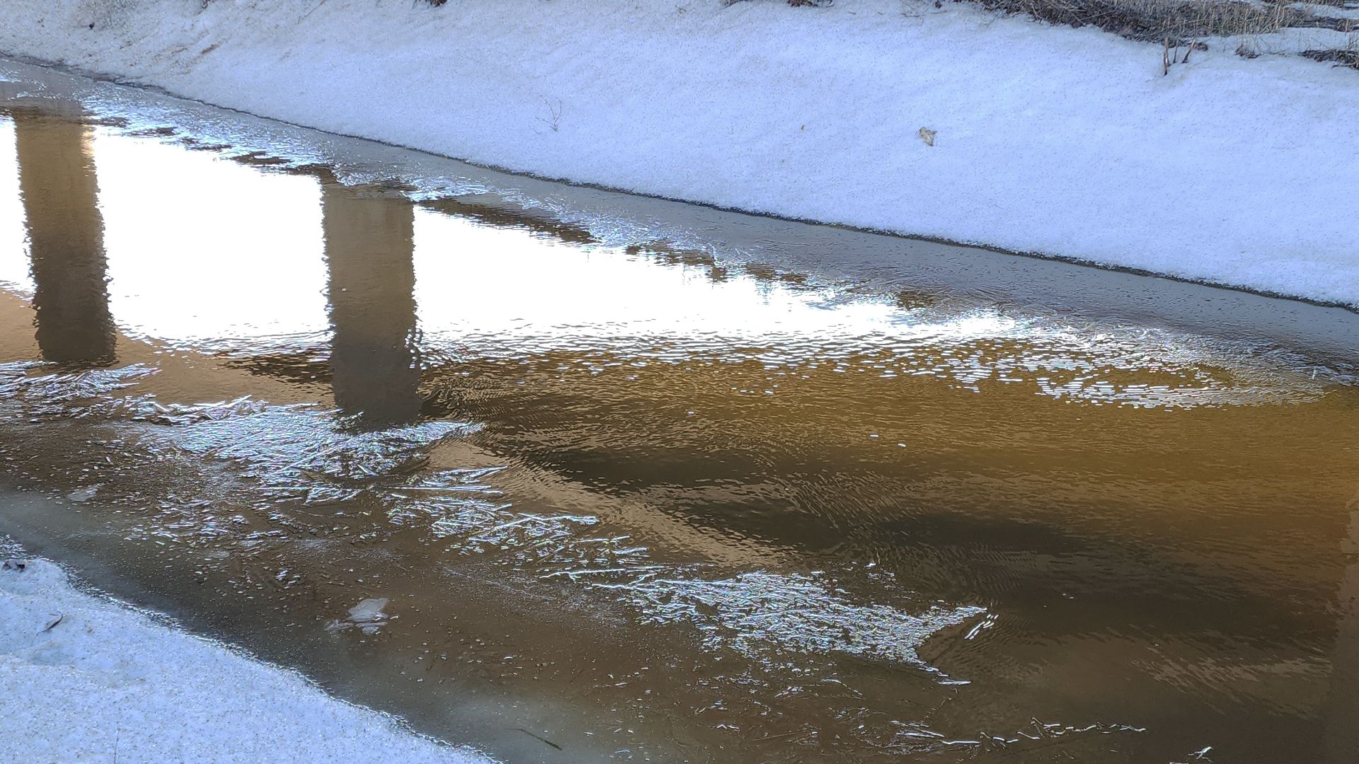 электросталь, мой город, жители города, паводок, половодье, снт, снт фрязево, выездная администрация, комиссия, администрация города,