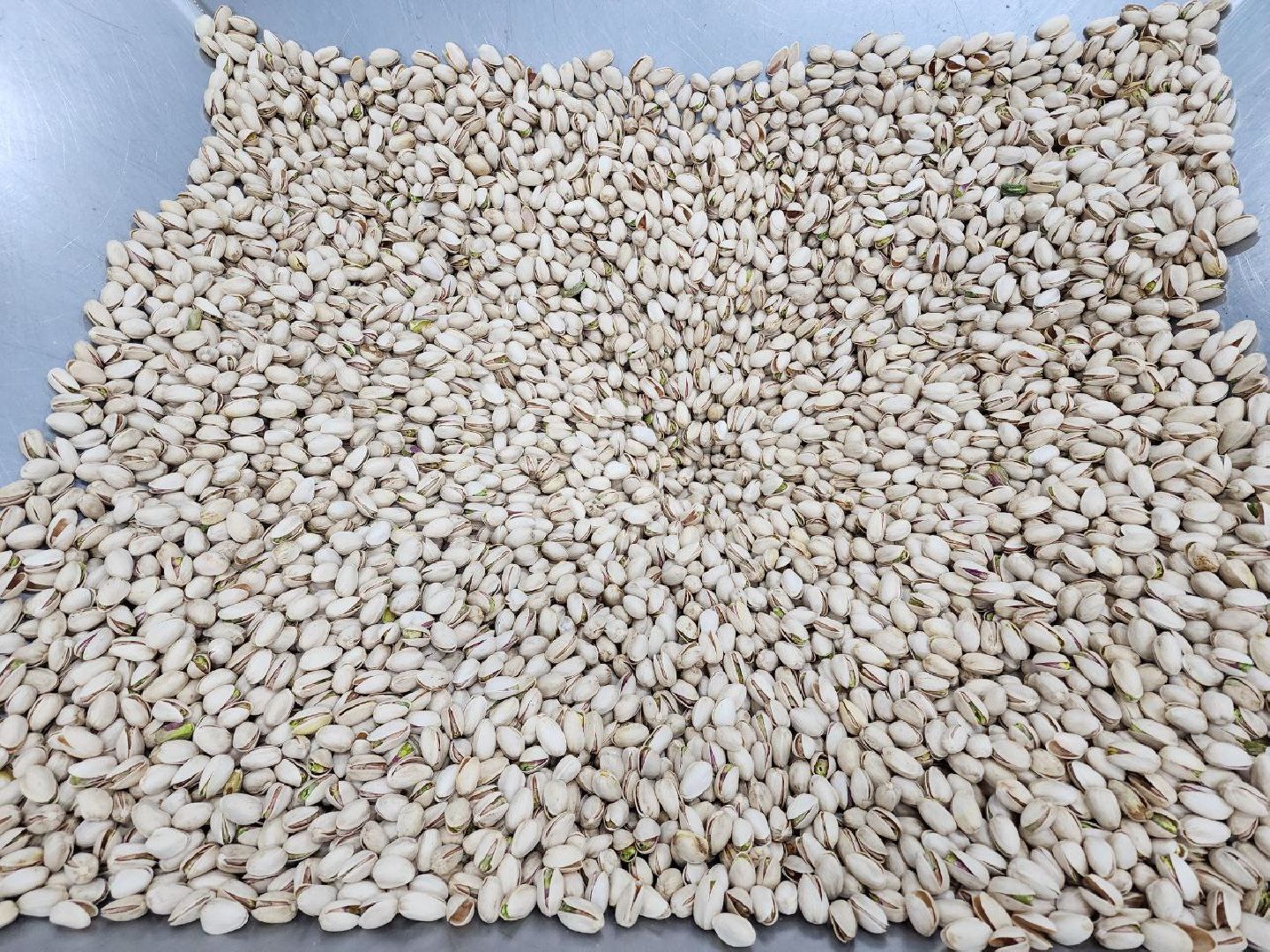 чехов, экономика, госпрограмма, земля за рубль, завод, строительство,