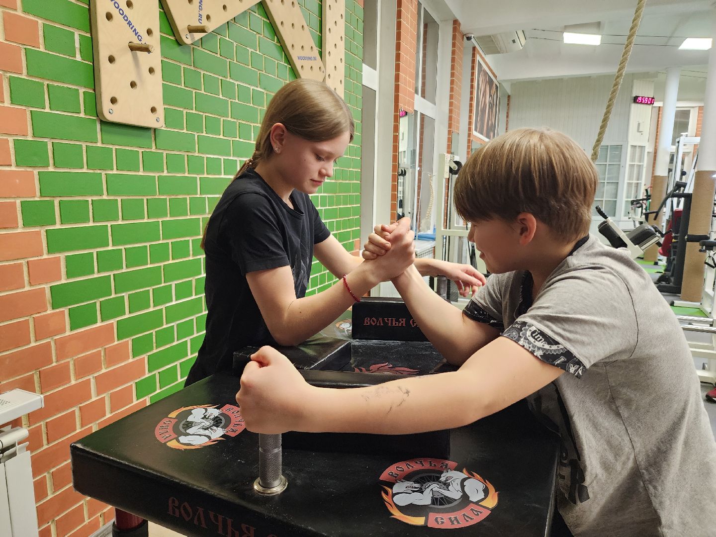 армрестлинг, первенство россии, победитель,