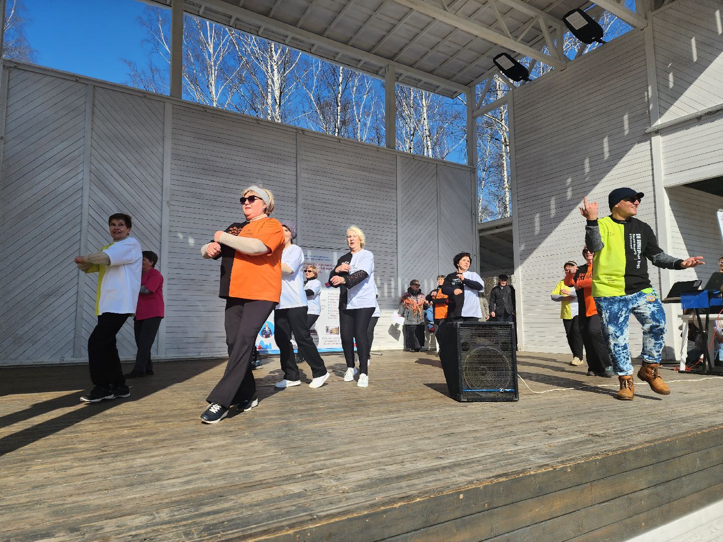 пушкино, активное долголетие, день открытых дверей, центральный парк, пожилые люди, творчество, спорт, танцы,