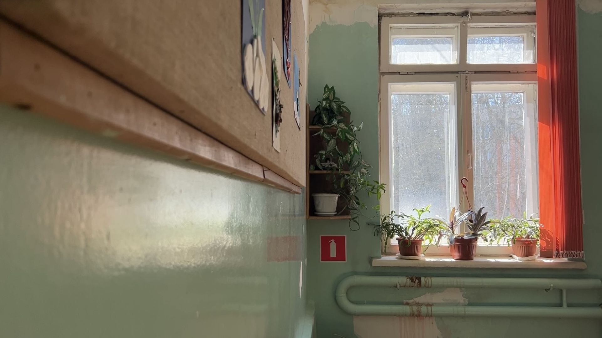 химки, капитальный ремонт, ремонт школы,