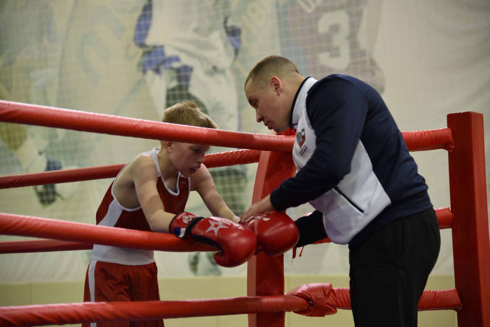 лотошино, бокс, ксц лотошино, боевые перчатки,