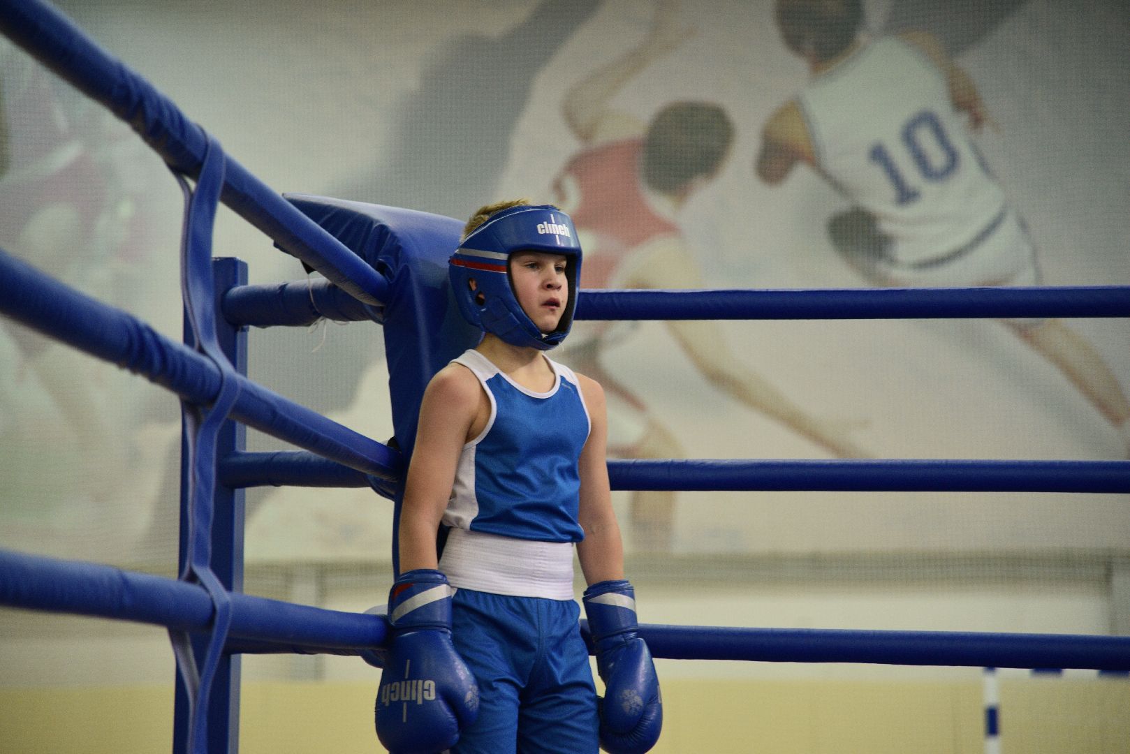 лотошино, бокс, ксц лотошино, боевые перчатки,