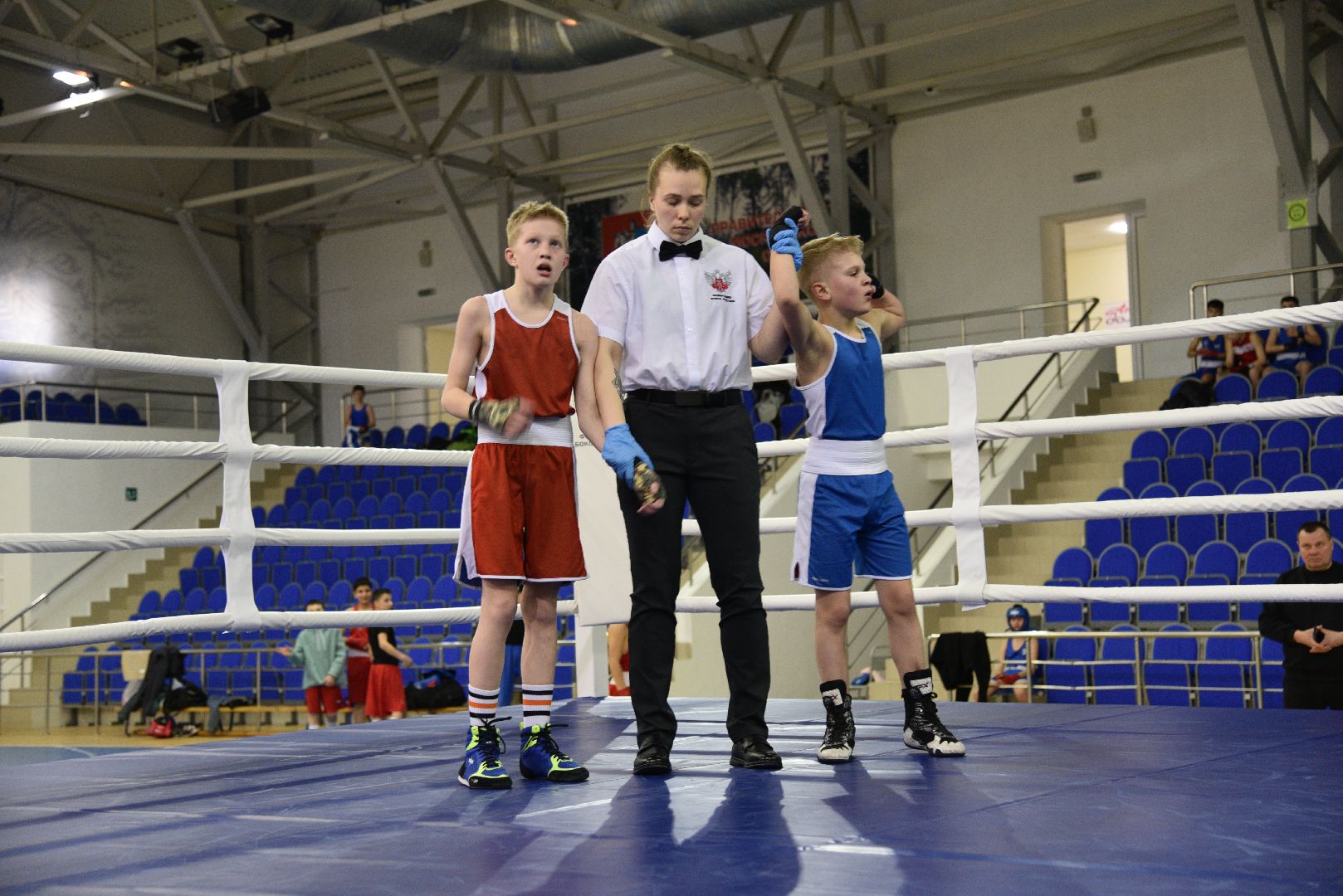 лотошино, бокс, ксц лотошино, боевые перчатки,