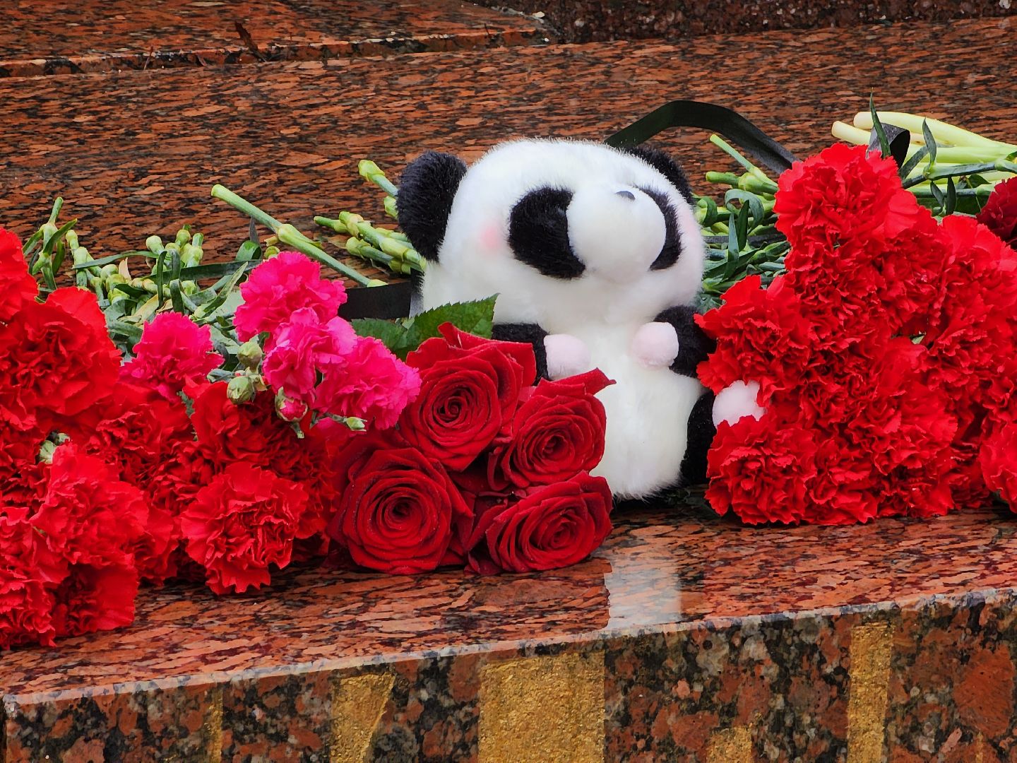 возложение цветов, скорбим, Долгопрудный,теракт,