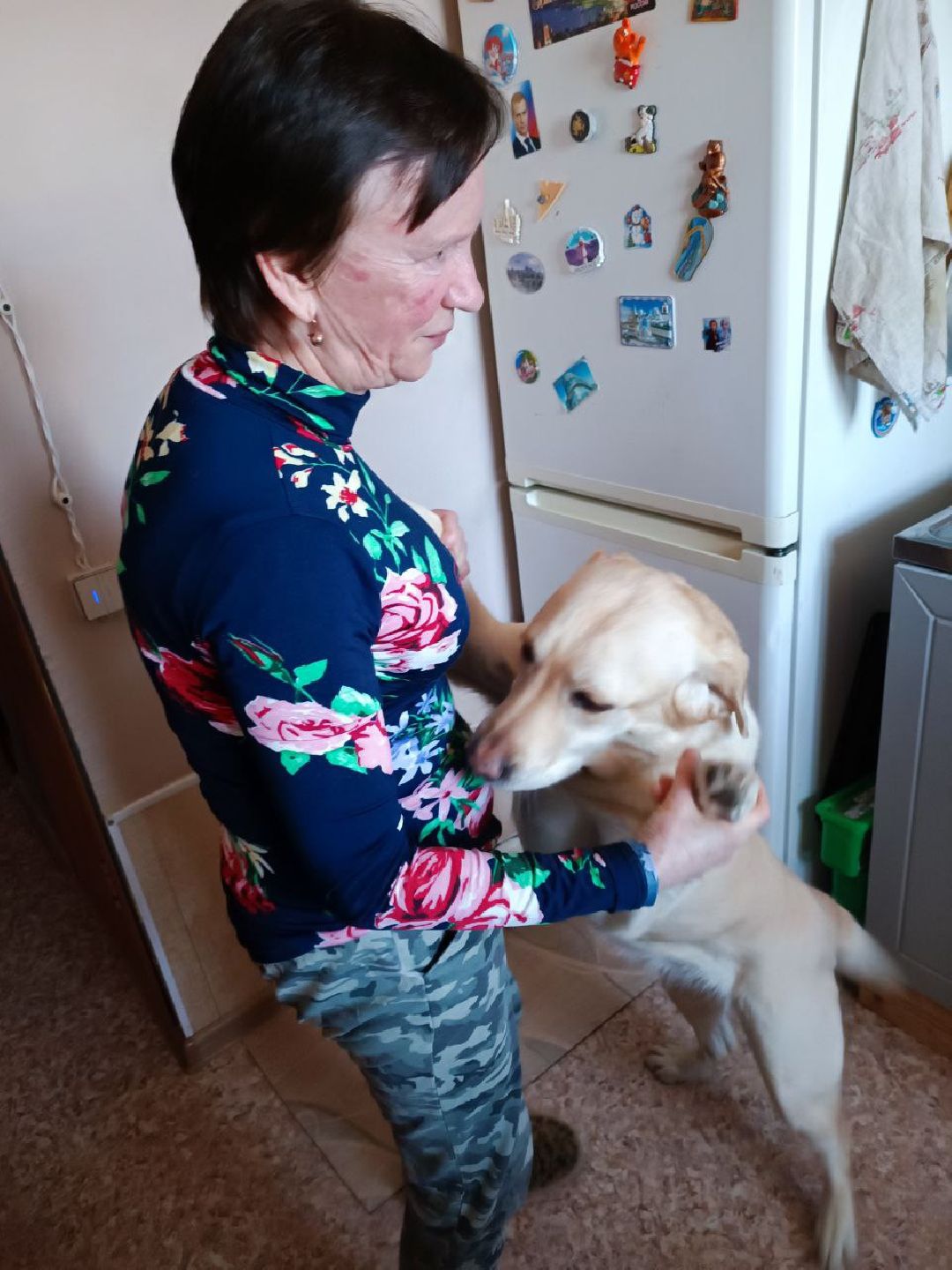 Можайск, МожайскийГородскойОкруг, Подмосковье, Стихи, Творчество