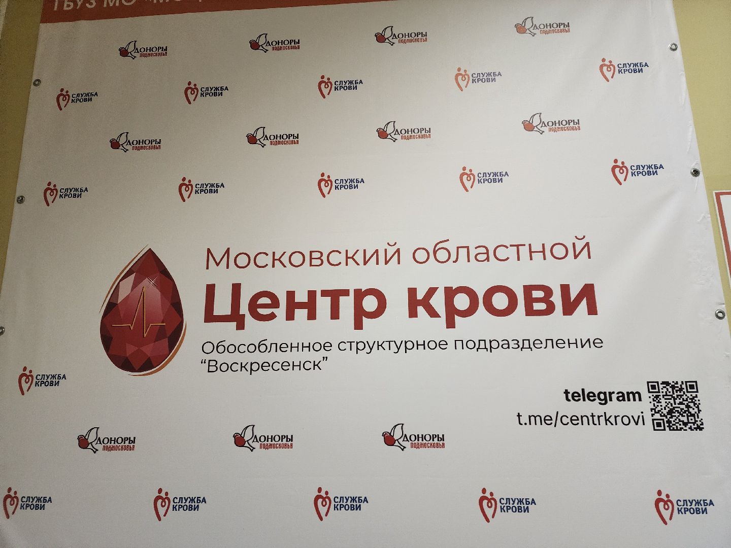 воскресенск, крокус сити, трагедия, сдача крови, жители, помощь,теракт,