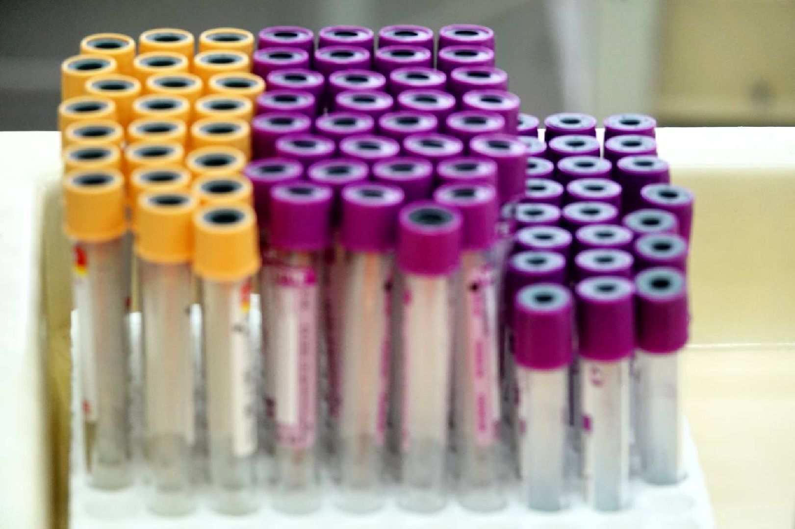 Доноры, Сергиево-Посадская больница, Здоровье, Помощь, Добровольцы,теракт,