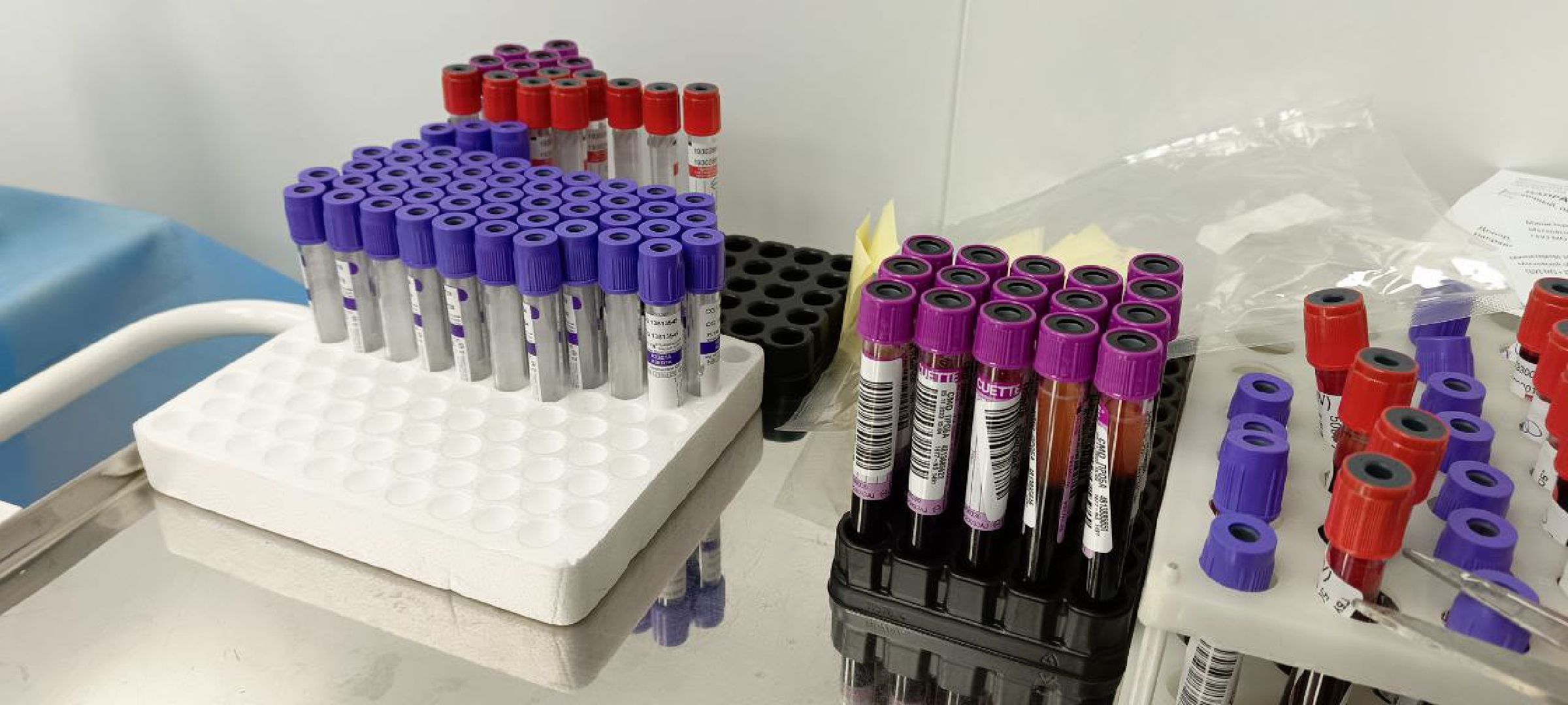 Дмитров, Доноры,теракт,