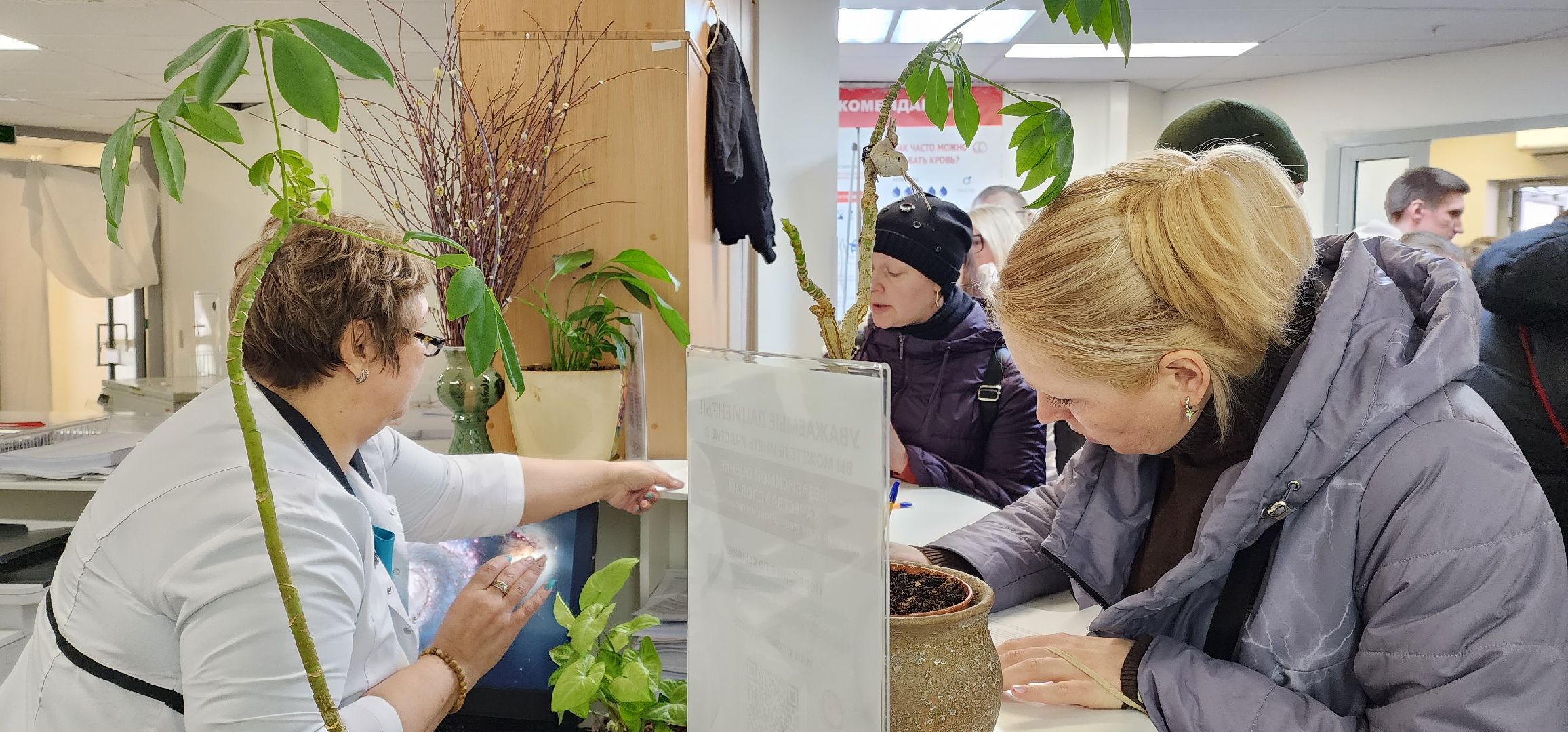 раменское, общество, очередь в отделение переливания крови,теракт,