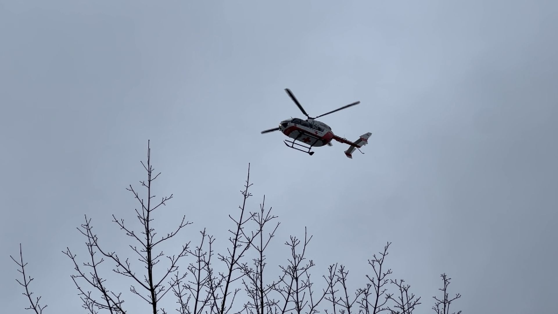 химки, медицина, крокус сити, больница,теракт,