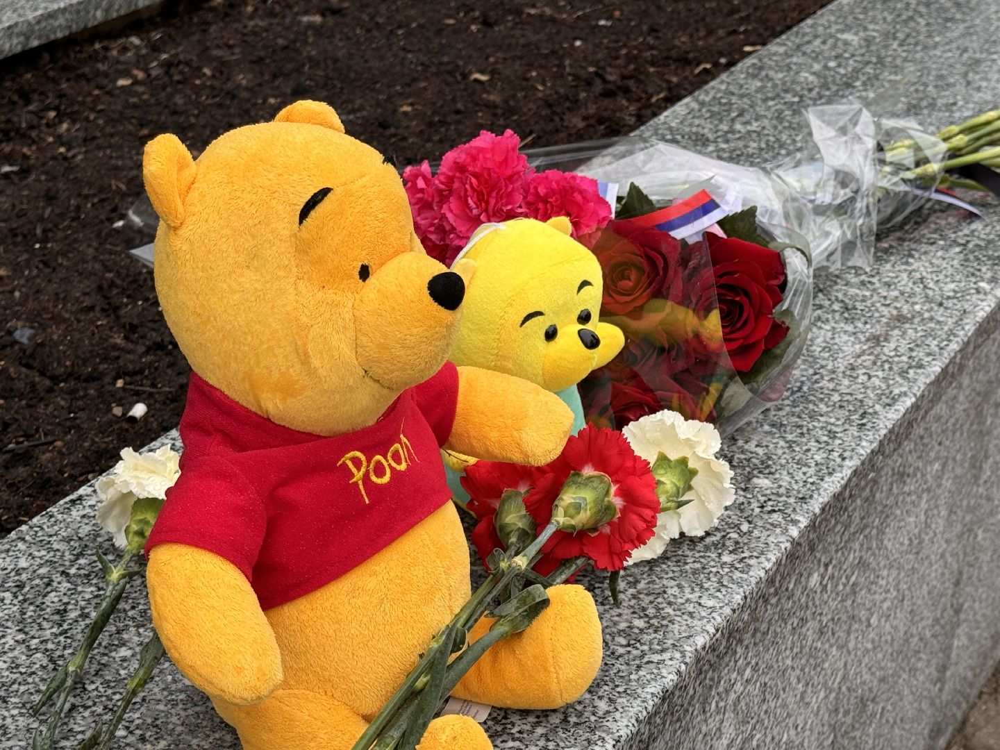 Одинцово скорбит, крокус сити холл, подмоксовье,теракт,