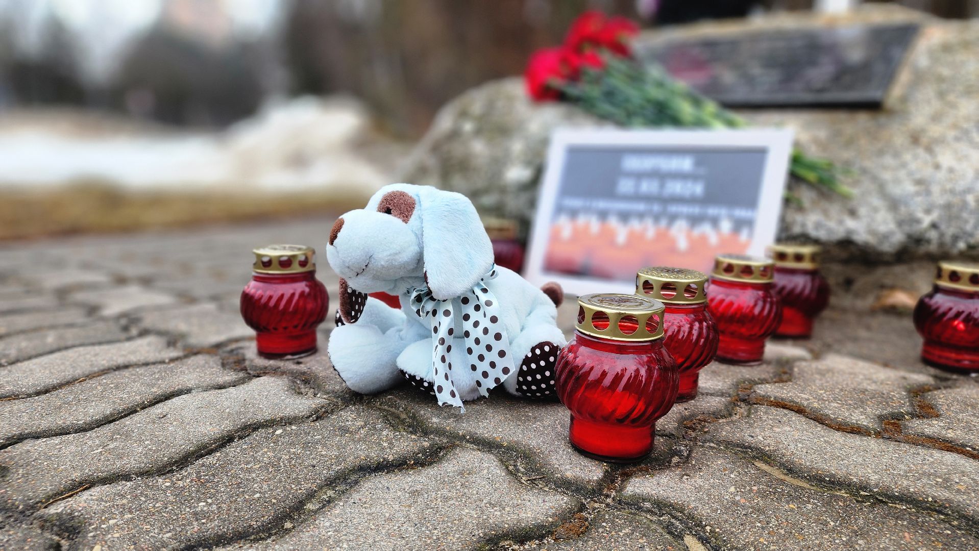 протвино, стихийный мемориал, память, крокус сити, трагедия,теракт,