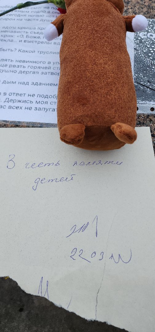 Электросталь, мой город, жители города, память, теракт, свеча, свеча памяти,