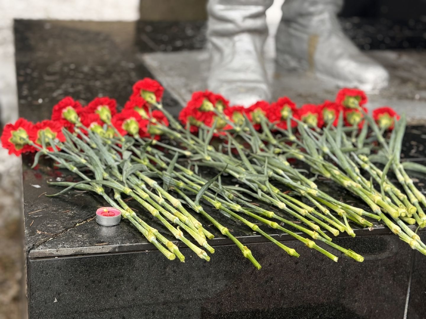 шаховская, теракт в крокус сити холле, терракт,