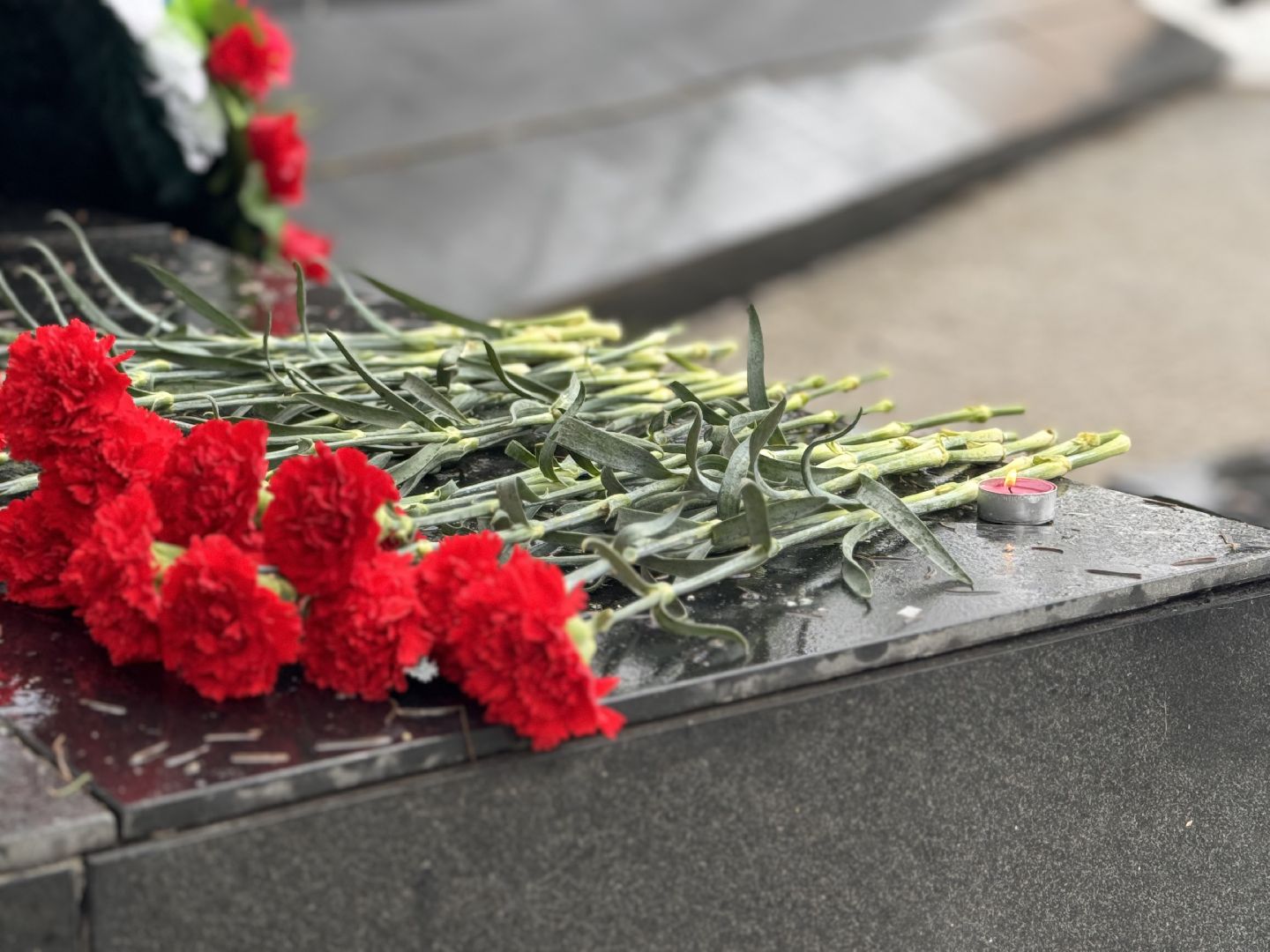 шаховская, теракт в крокус сити холле, терракт,