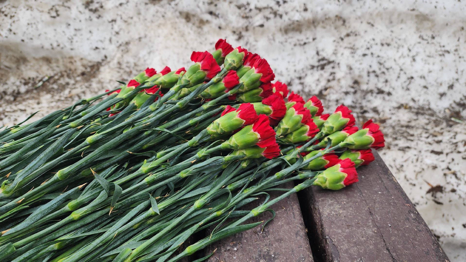 Подмосковье, Городской округ Пушкинский, Ивантеевка, Стихийный мемориал,теракт,