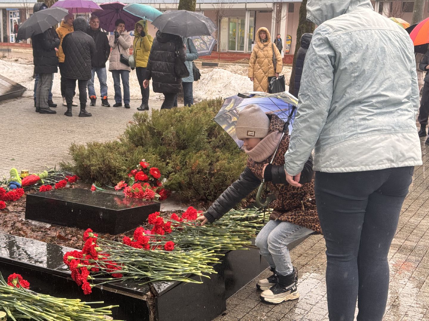 шаховская, терроризм, акция, возложение цветов,теракт,