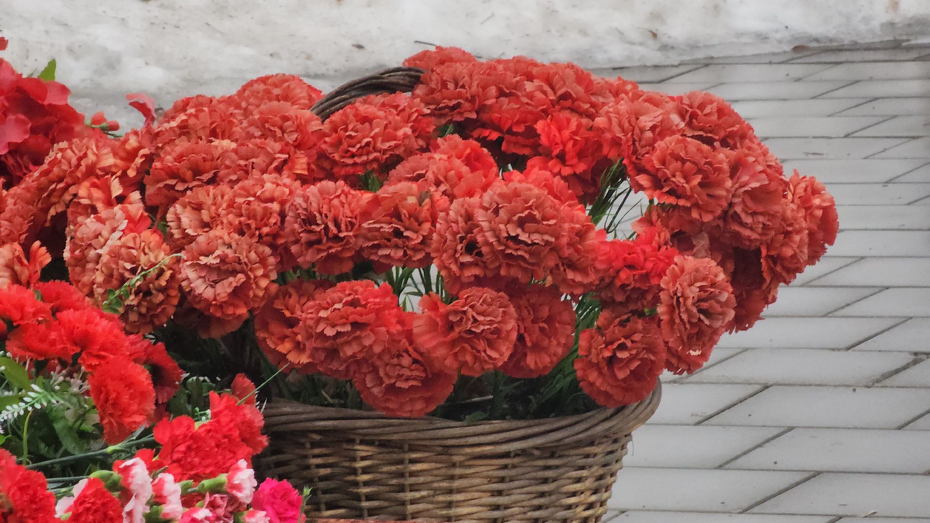 долгопрудный, крокус сити, скорбим, молодая гвардия, молодая гвардия подмосковья, молодежь,возложение цветов,теракт,