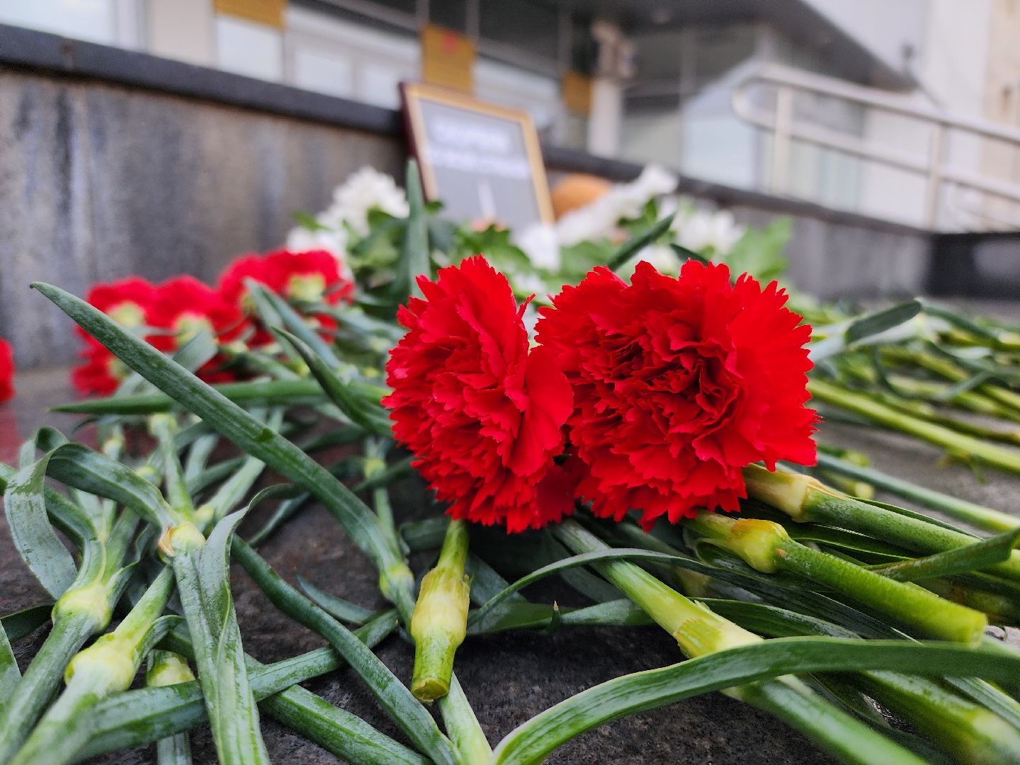 Руза, рузский городской округ, Руза скорбит, московская область, подмосквье, москва, мемориал,теракт,