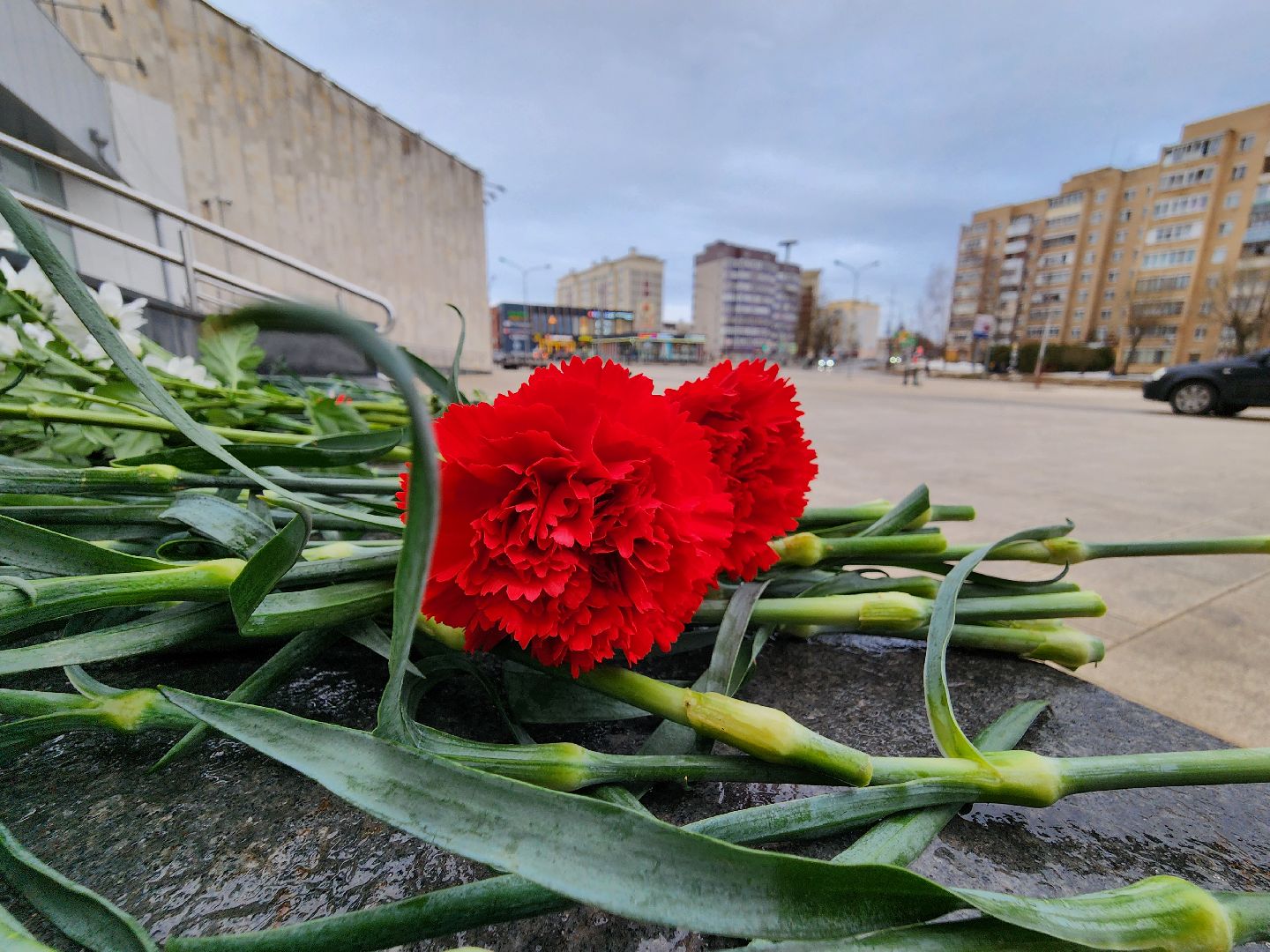 психолог, психологическая помощь, поддержка, руза скорбит, рузский городской округ, московская область, подмосковье,теракт,