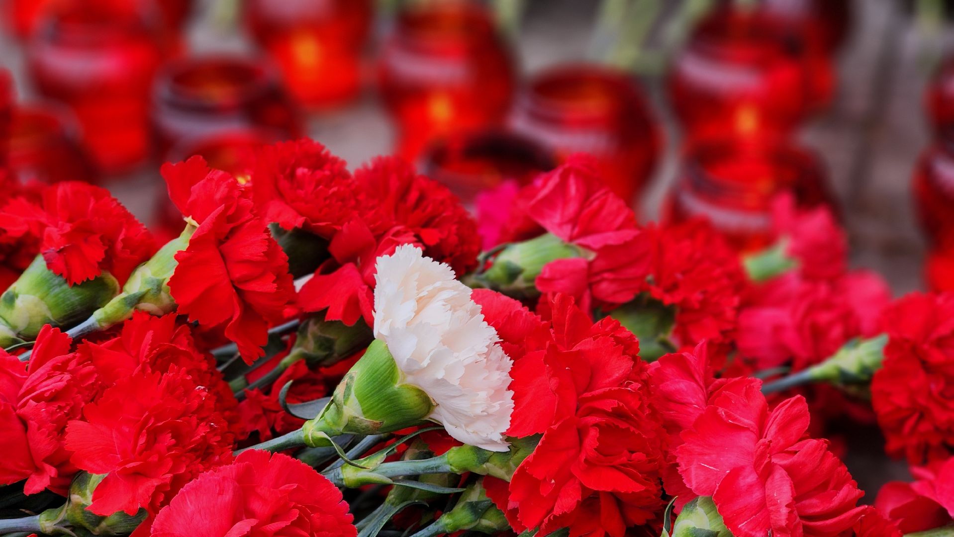 теракт, скорбим,