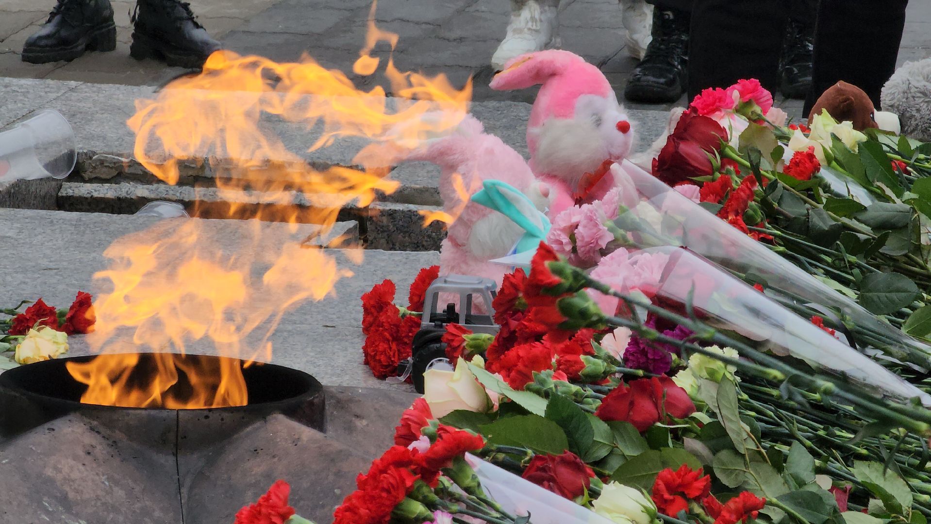 ступино,теракт,акция,