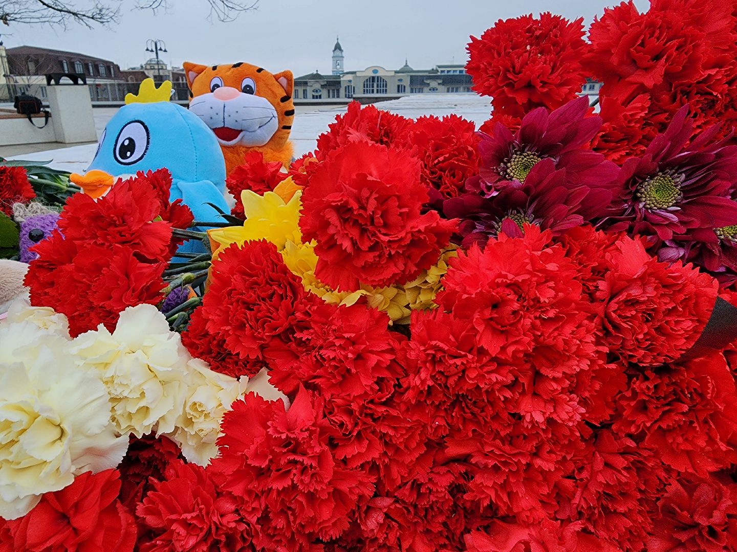 теракт, Крокус сити холл, день общенационального траура, Ногинск, Богородский городской округ,
