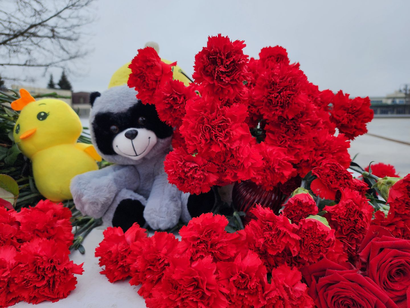 теракт, Крокус сити холл, день общенационального траура, Ногинск, Богородский городской округ,