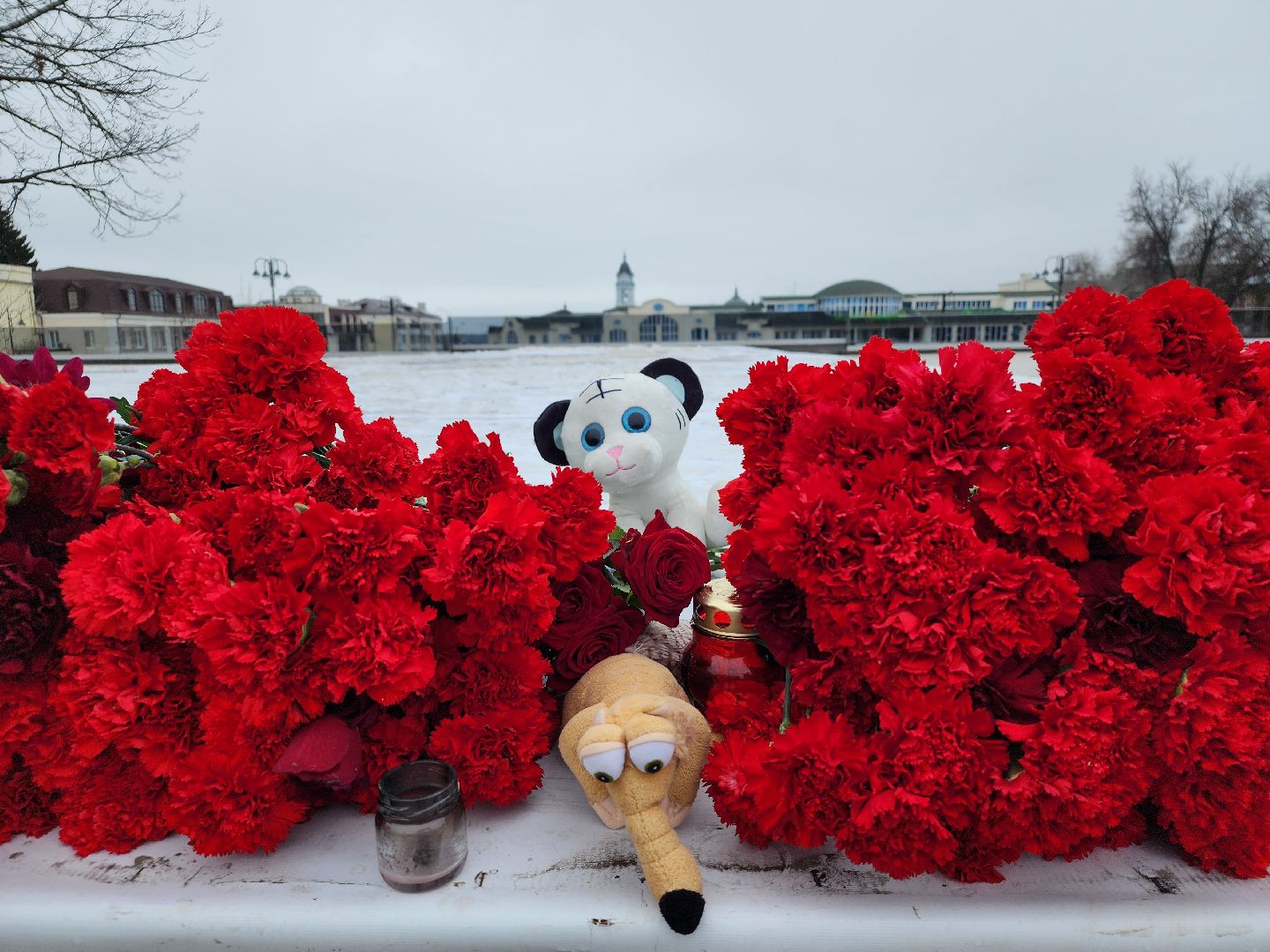 теракт, Крокус сити холл, день общенационального траура, Ногинск, Богородский городской округ,